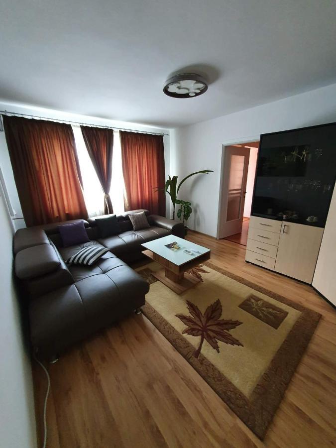 Apartament Cu Regim Hotelier In Dr.Tr. Severin Ντρομπέτα-Τούρνου Σεβερίν Εξωτερικό φωτογραφία